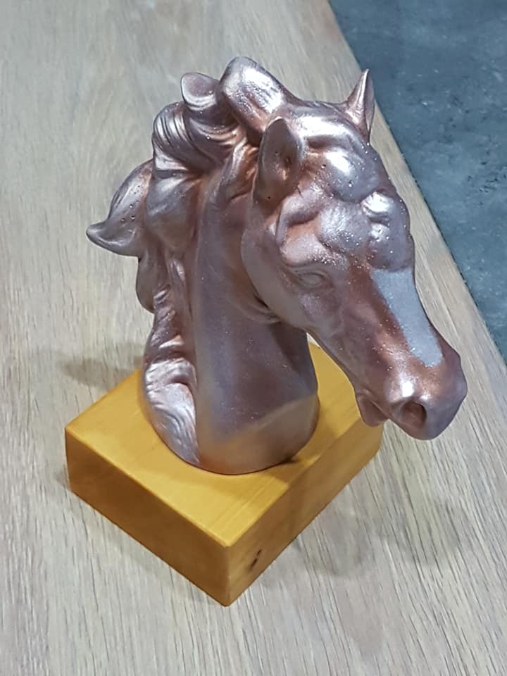 trophé cheval 14