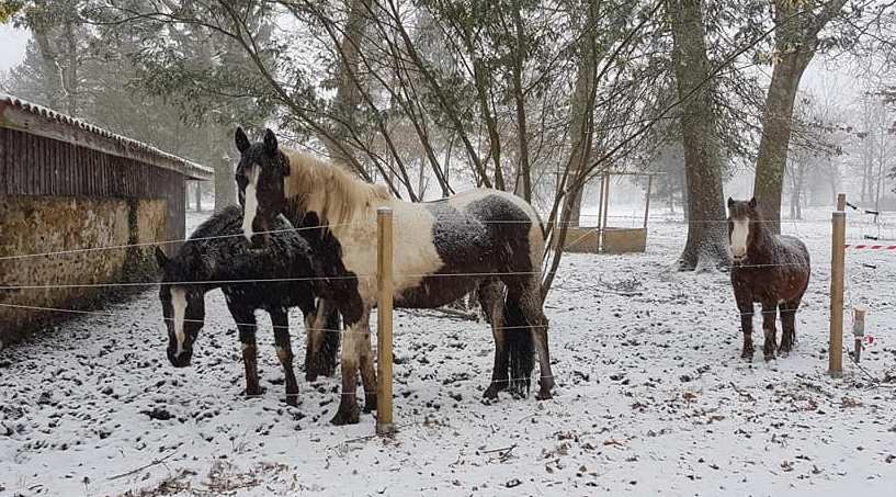 You are currently viewing La fourbure d’hiver