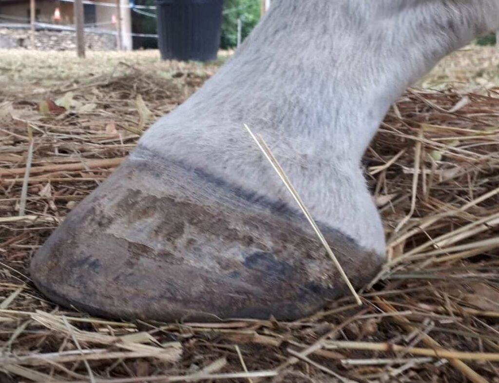 1 semaine plus tard, les talons se sont redressés seuls